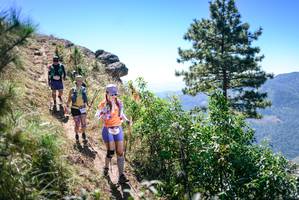 BIB: 
                            <button type="button" onclick="openModal(26606791)" class="btn btn-primary btn-sm float-right btn-popup" data-toggle="modal" data-target=".modal-high-quality">
                        <i class="fas fa-shopping-cart"></i> Add to Cart
                    </button>
                                            <button type="button" onclick="isThisMe(26606791, true)" class="btn btn-success btn-sm float-right btn-popup btn-isme hidden" data-toggle="tooltip" data-placement="bottom" title="นี่คือรูปของคุณใช่ไหม คลิกที่นี่เพื่อเอาเข้าอัลบั้ม">
                        <i class="fas fa-plus"></i> Add to album
                    </button>
                    <button type="button" onclick="isThisMe(26606791, false)" class="btn btn-warning btn-sm float-right btn-popup btn-isnotme hidden">
                        <i class="fas fa-ban"></i> Remove from album
                    </button>